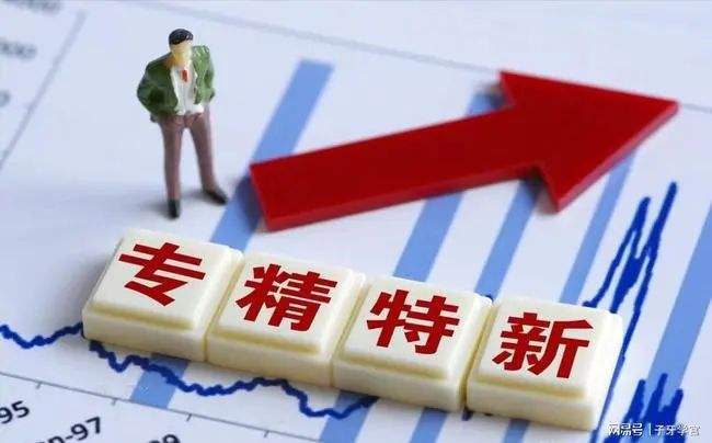 一图全懂！2022年“专精特新”政策精编