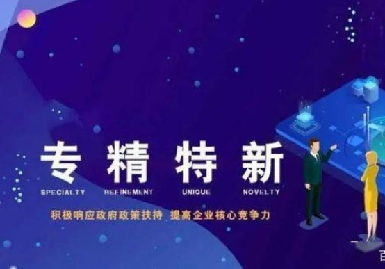精准扶持，促进“专精特新”企业创新发展