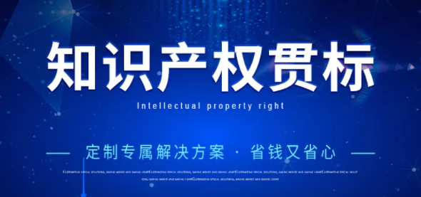 首次通过知识产权管理体系认证，一次性给予10万元奖励！