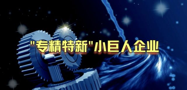 省级财政 2022 年专精特新“小巨人”企业奖补资金安排计划的公示