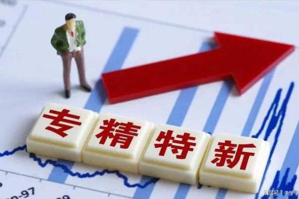 一图全懂！2022年“专精特新”政策精编