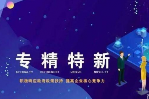 精准扶持，促进“专精特新”企业创新发展