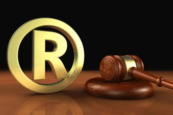 为什么商标权会被终止，具体原因有哪些？
